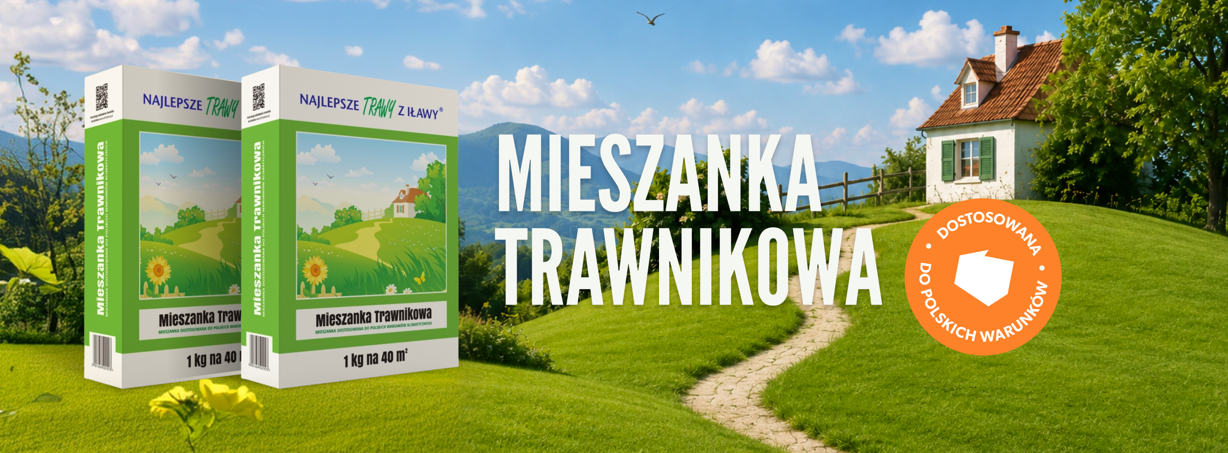 trawnikowa-top-poziom.jpg